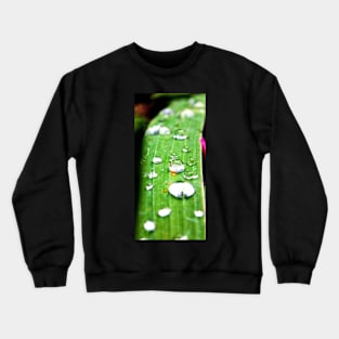 Waterdrops Crewneck Sweatshirt